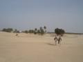 avy a Sahara Tunisko
